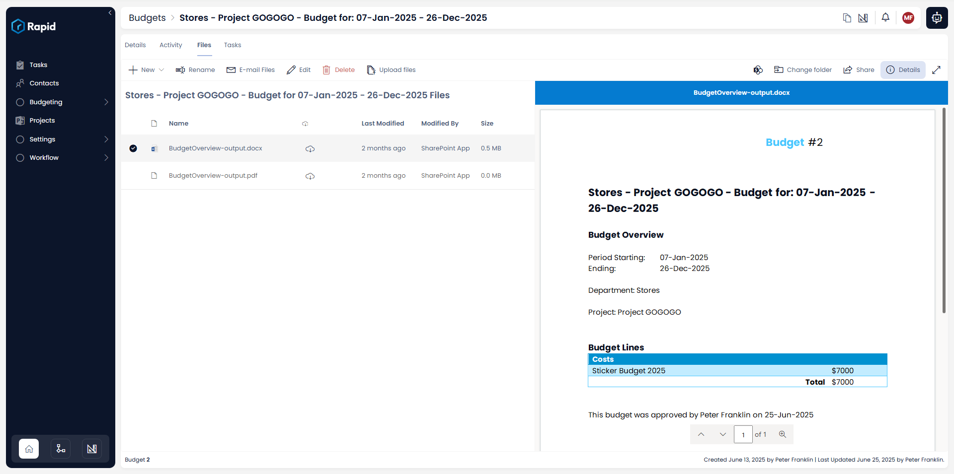 Generated document showing budget snapshot