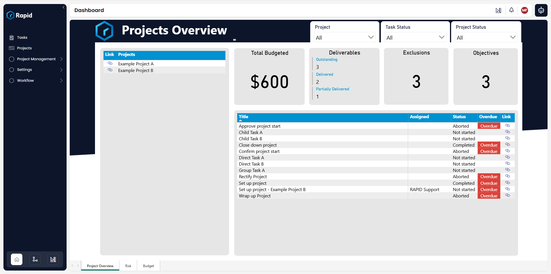Project overview report